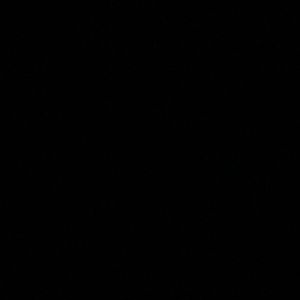 Meet your Posher, Jillian